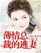 豪門霸愛:薄情總裁的逃妻