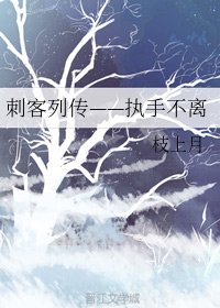 (BL/刺客列传同人)执手不离