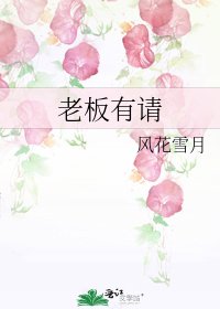 老板有请