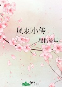 凤羽小传
