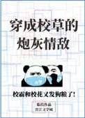 穿成校草的炮灰情敵